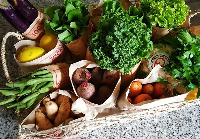 The Green Grocer's deliveries in brown paper bags