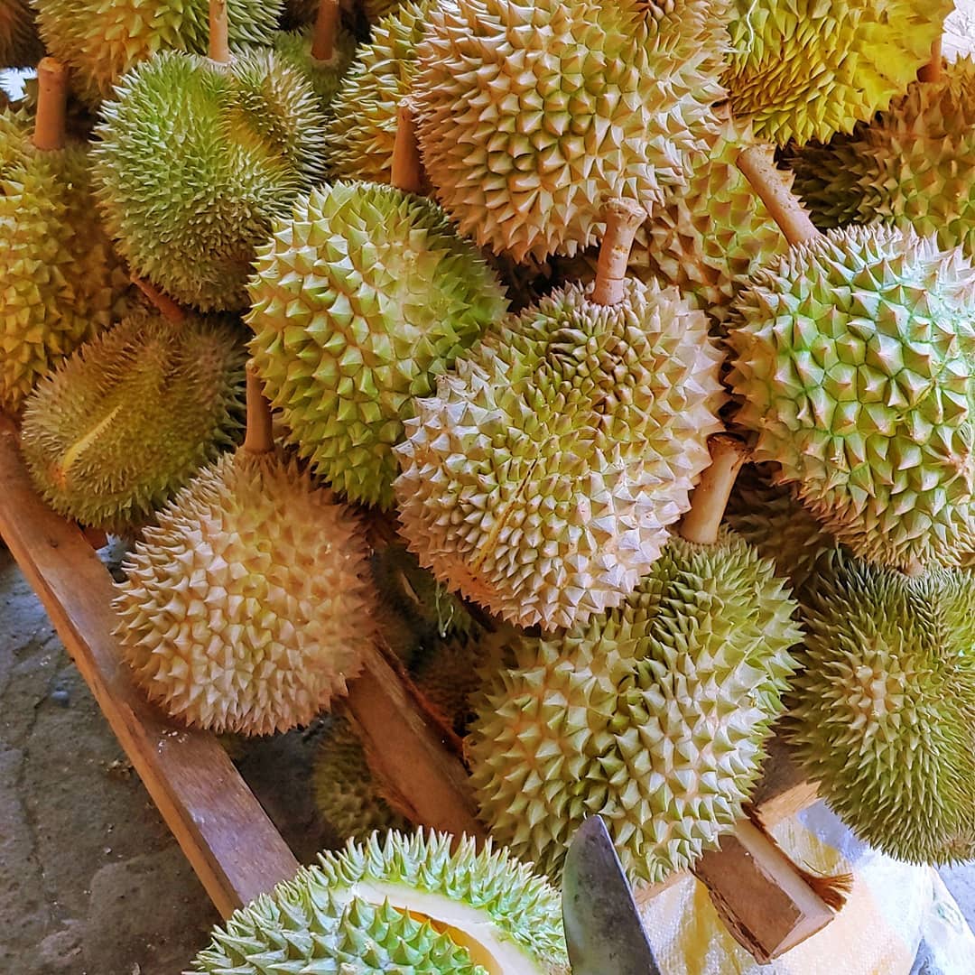 durians in davao