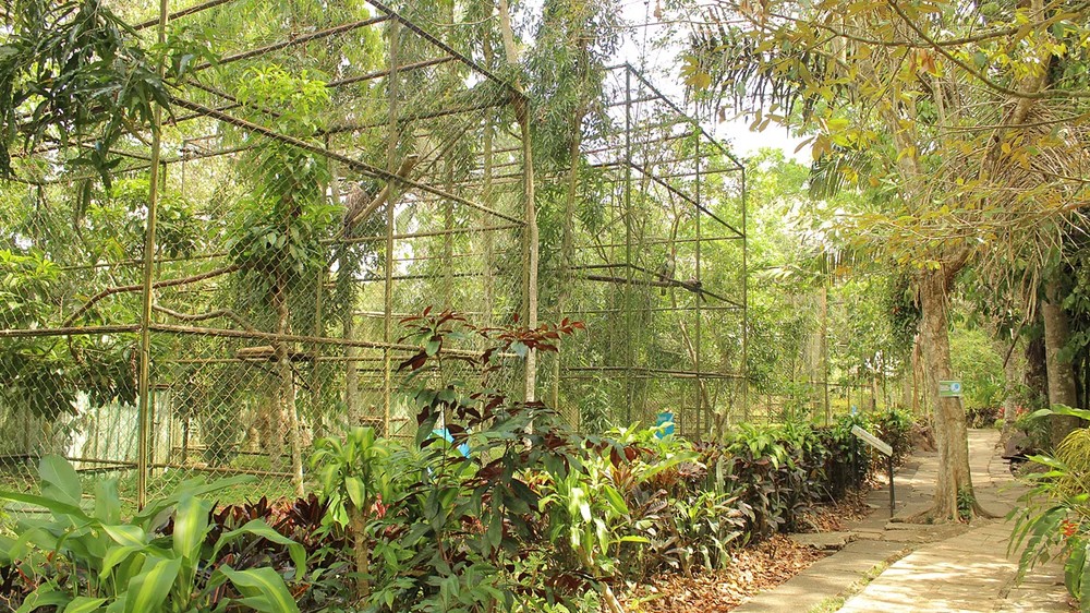 philippine eagle center