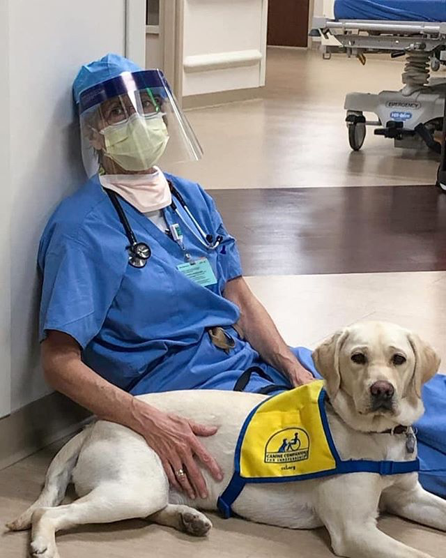 doctor in full gear petting an assistance dog