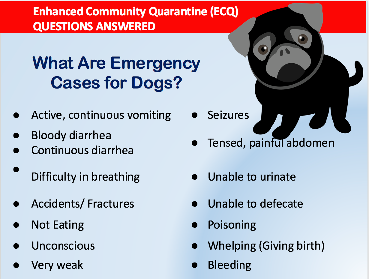 Emergency cases for pet dogs
