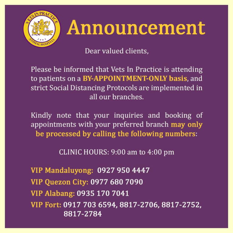 10 Metro Manila Veterinary Clinics Still Open to Our Pets