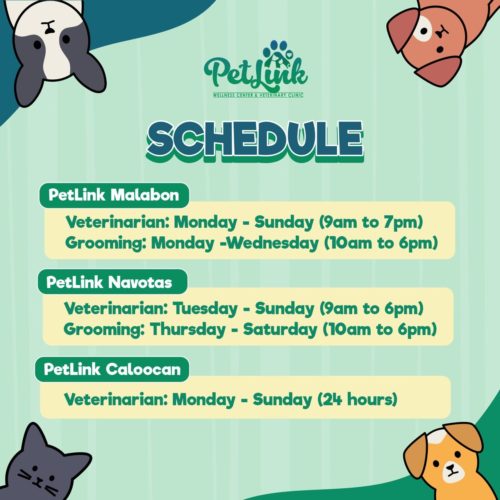 10 Metro Manila Veterinary Clinics Still Open to Our Pets