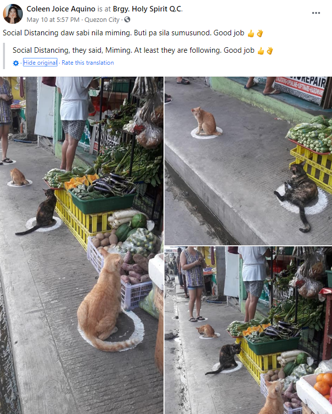 Coleen Aquino's viral Facebook post
