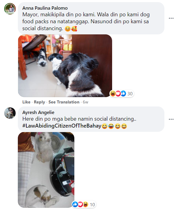 Netizens praised the dogs, sharing pictures of their own pets following quarantine protocols and awaiting their “food packs” in the post’s comments section.
