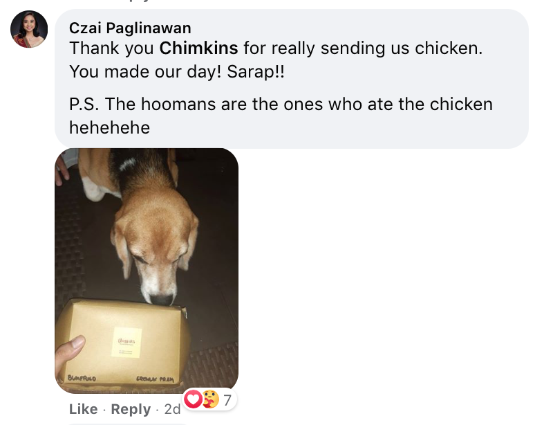 dog congratulates his hooman parents - facebook comment