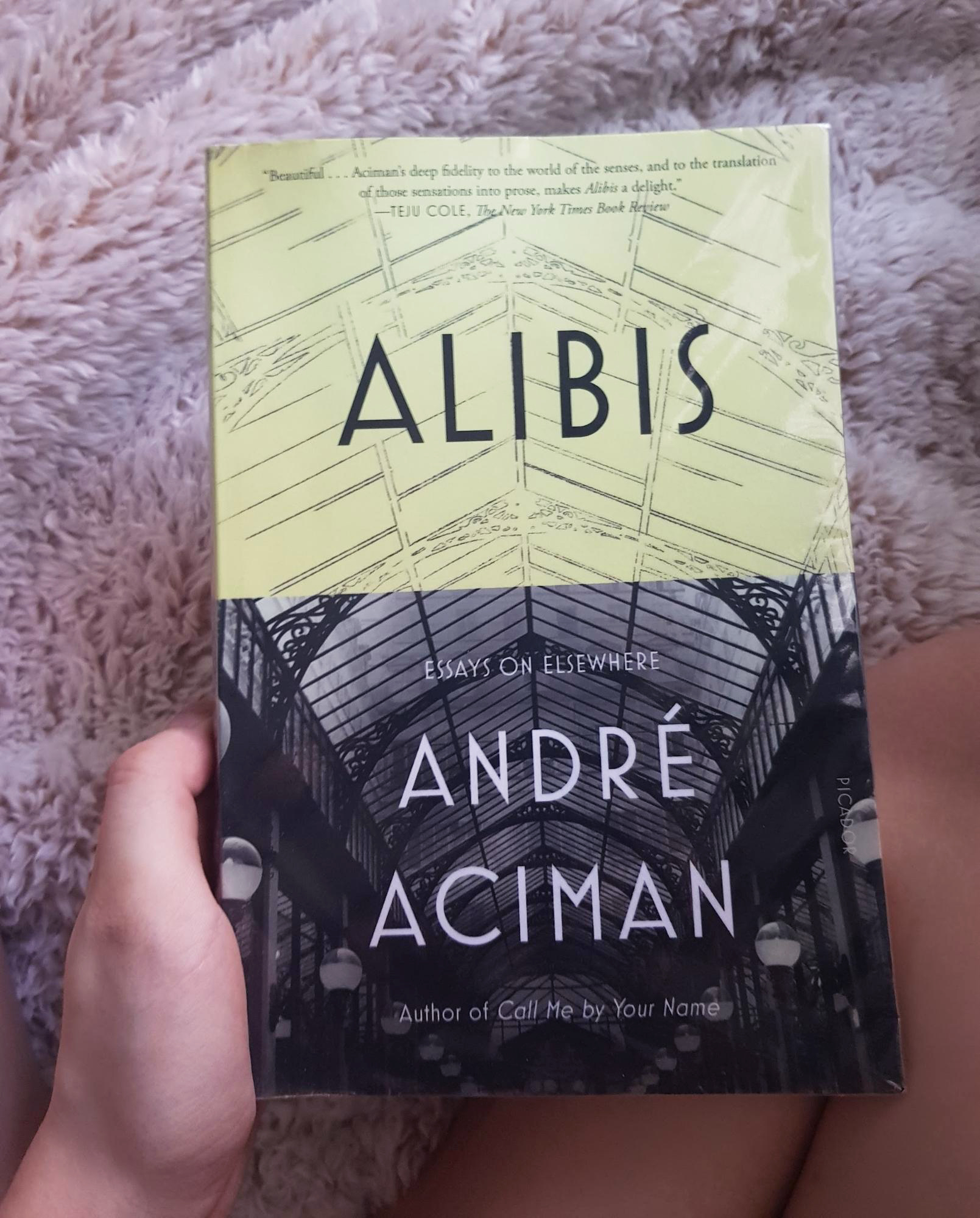 cancelled travel COVID-19 - Alibis Andre Aciman