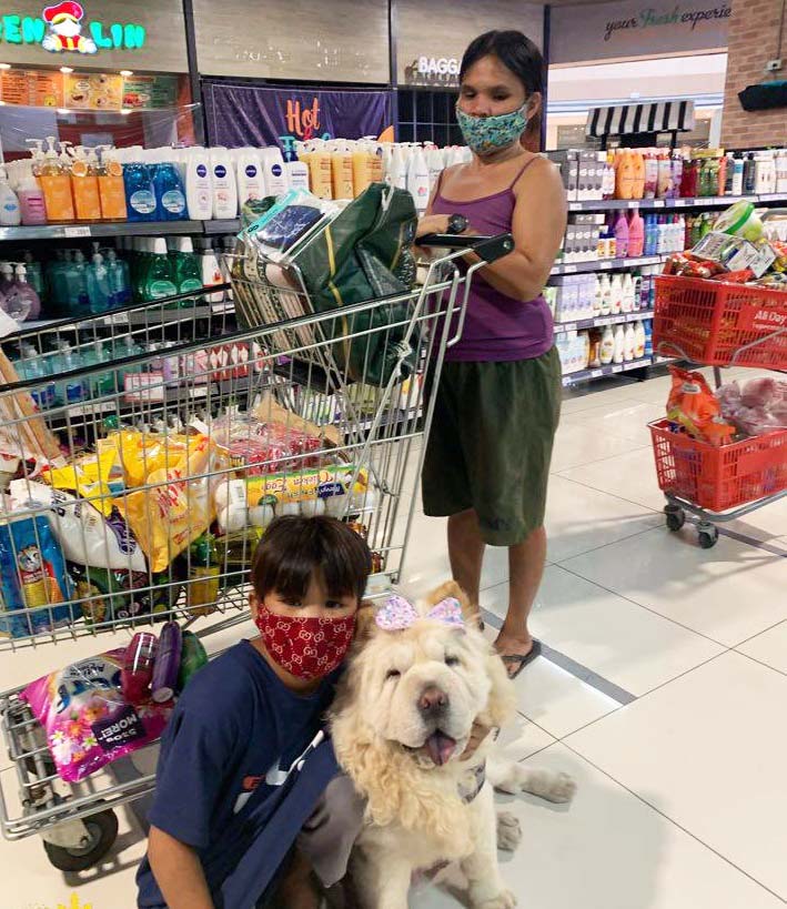 Mazikeen the Chow - Rondel being treated to a grocery shopping