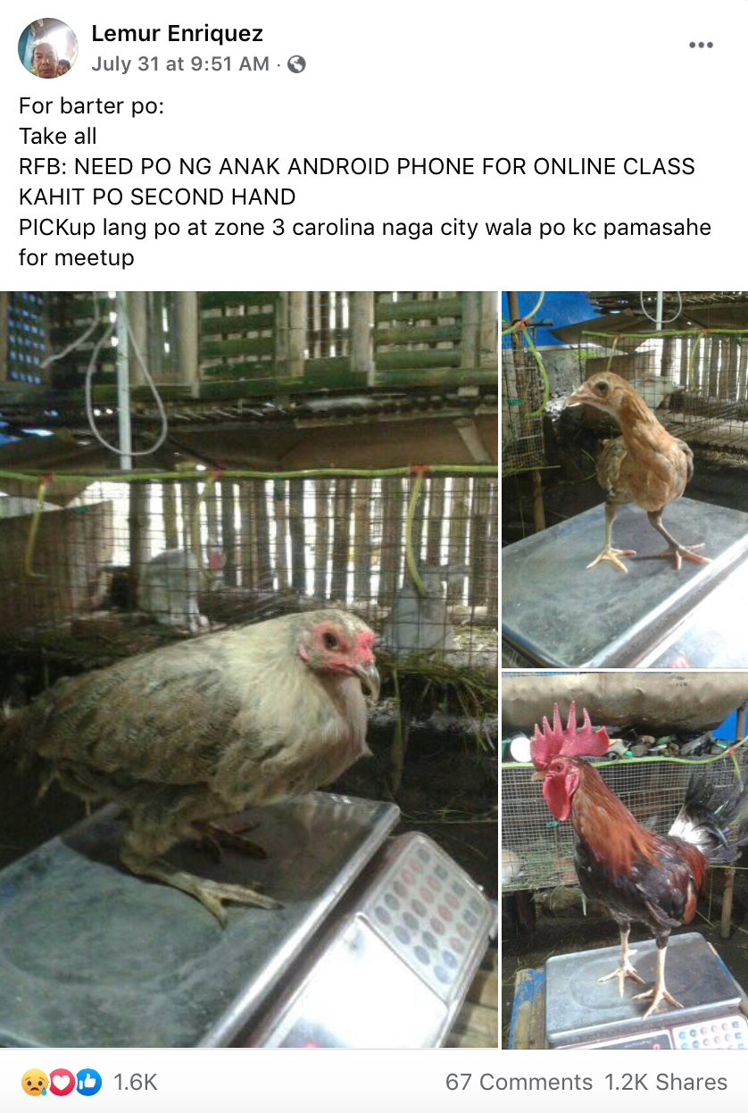 barter live chickens for phone - fb post