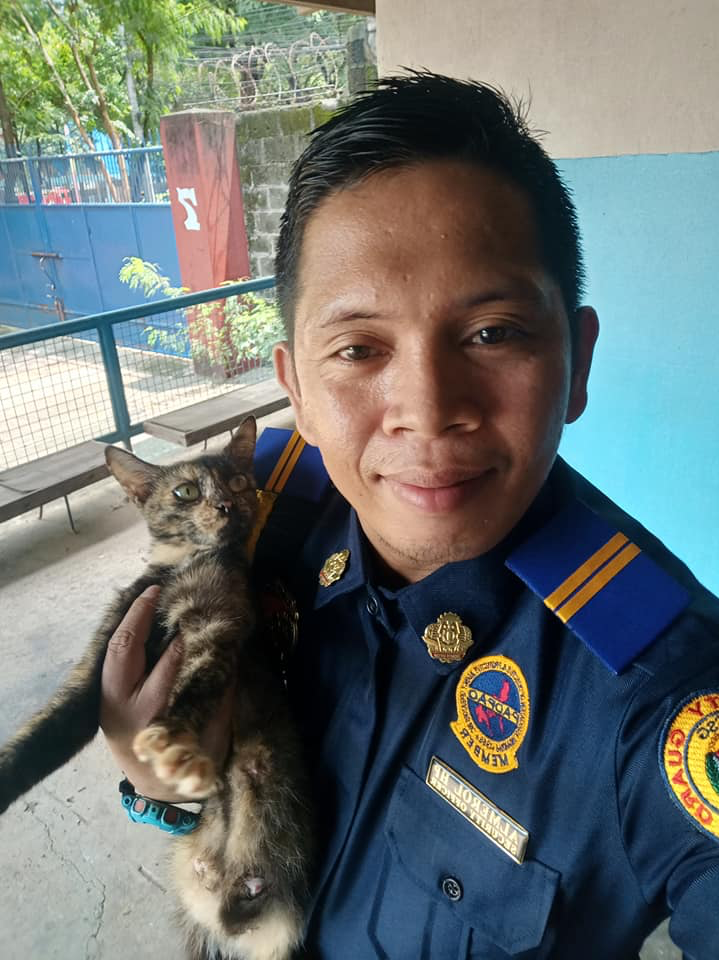 cat steals guard's lunch - security guard with cat