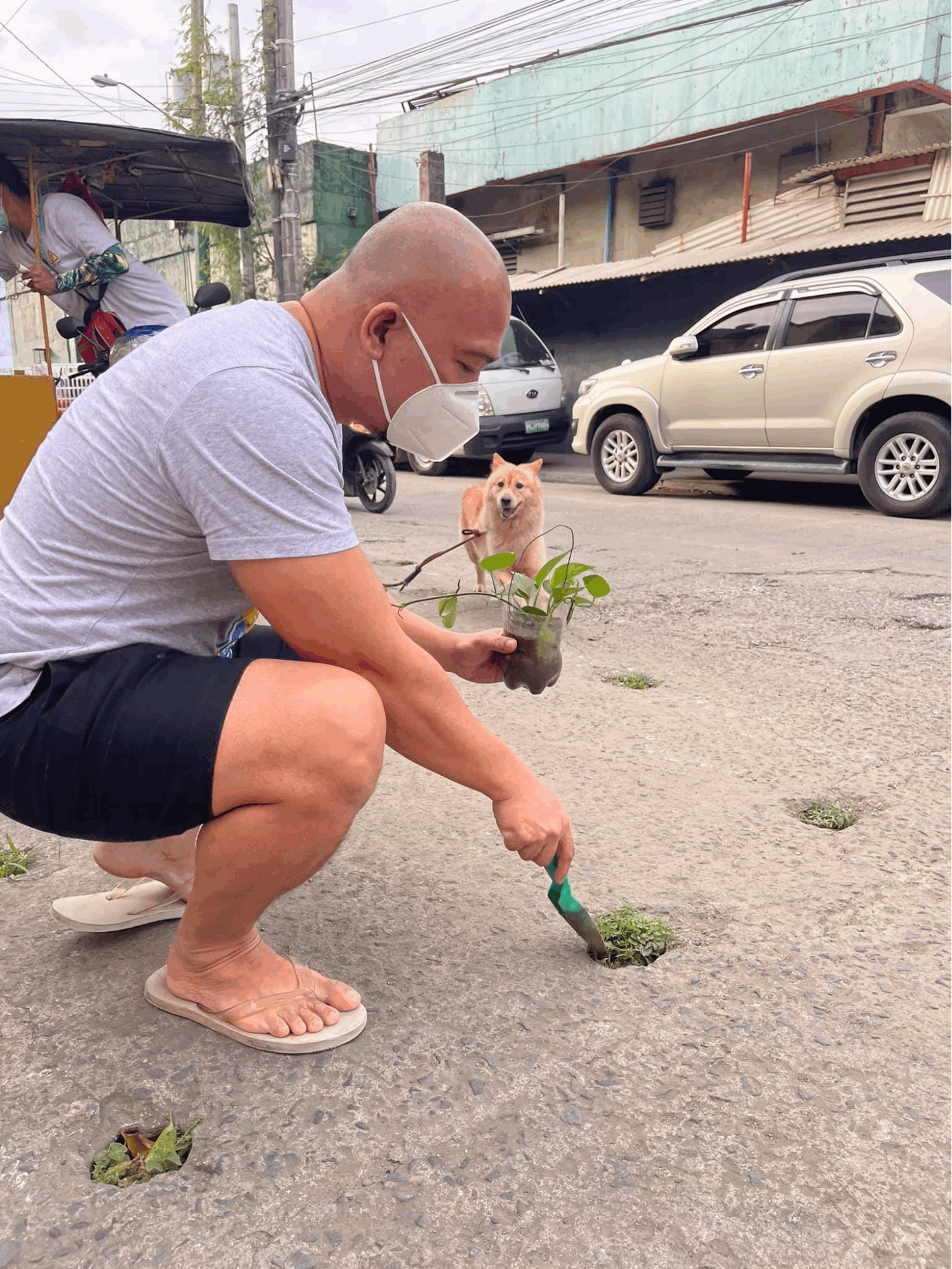 Quezon City plantito - Glenn Cui Infante placing plants in holes 