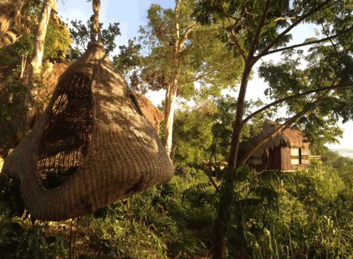 Treehouse hotels - Sanctuaria Treehouses