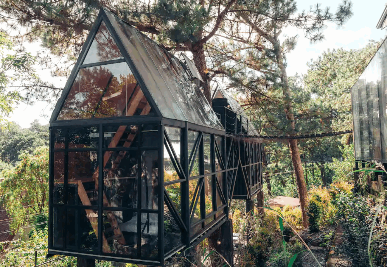 Treehouse hotels - Twin Glass Treehouses at Tudor in the Pines