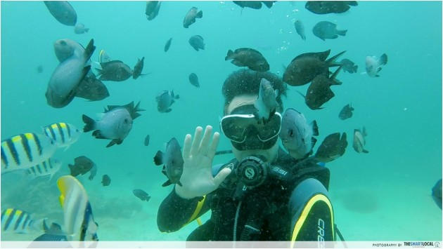 Philippine islands - Diving in Boracay