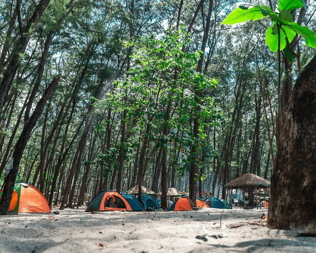 Camping sites - Anawangin Cove, Zambales