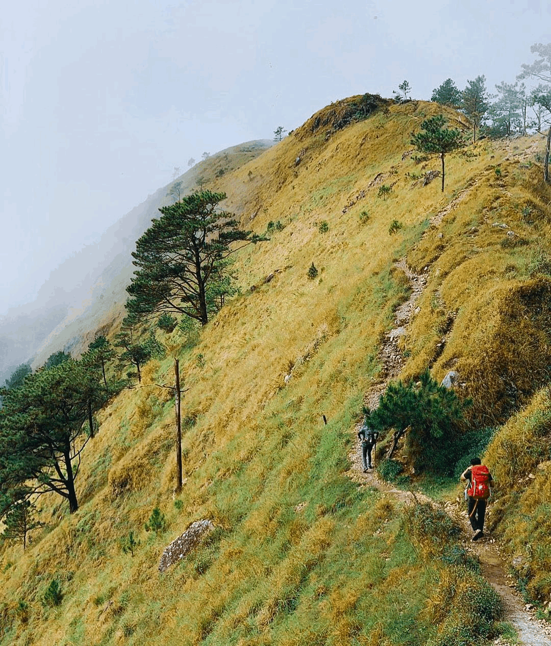 Mountains Philippines - Mount Ulap