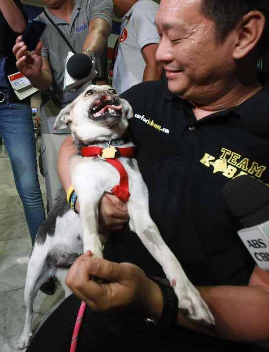 Heroic dog Kabang dies