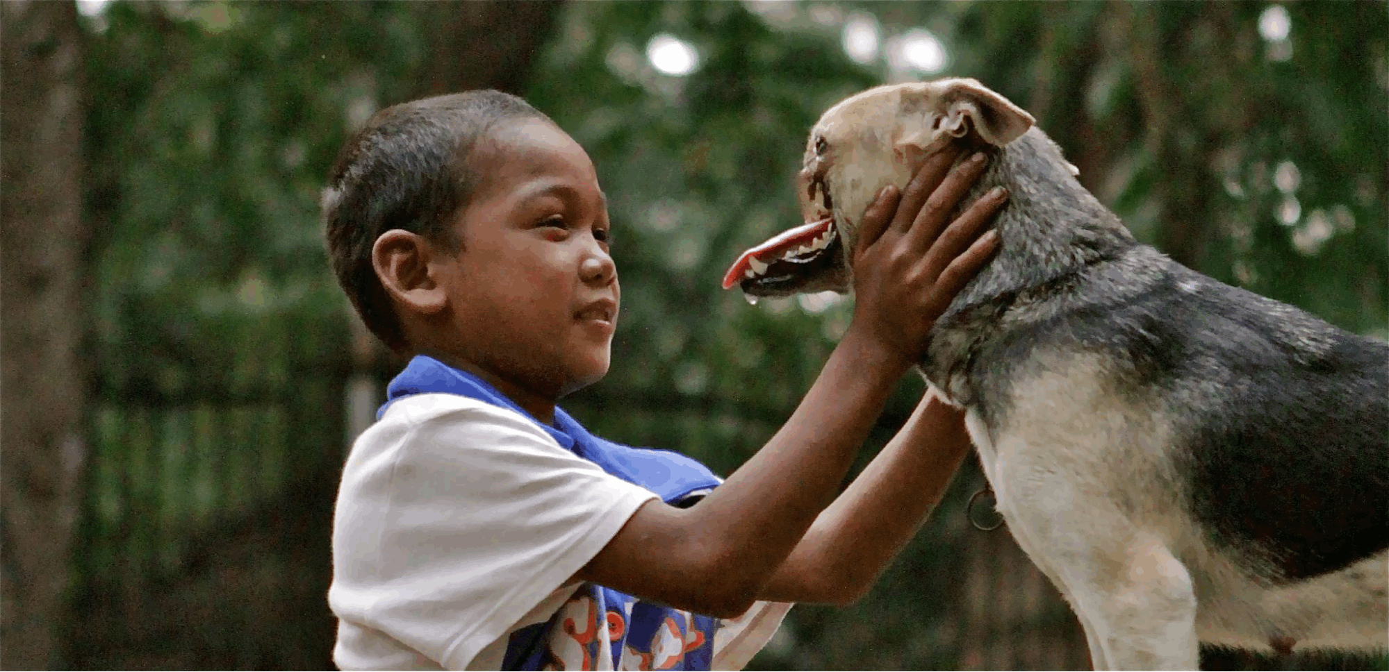 Heroic dog Kabang dies