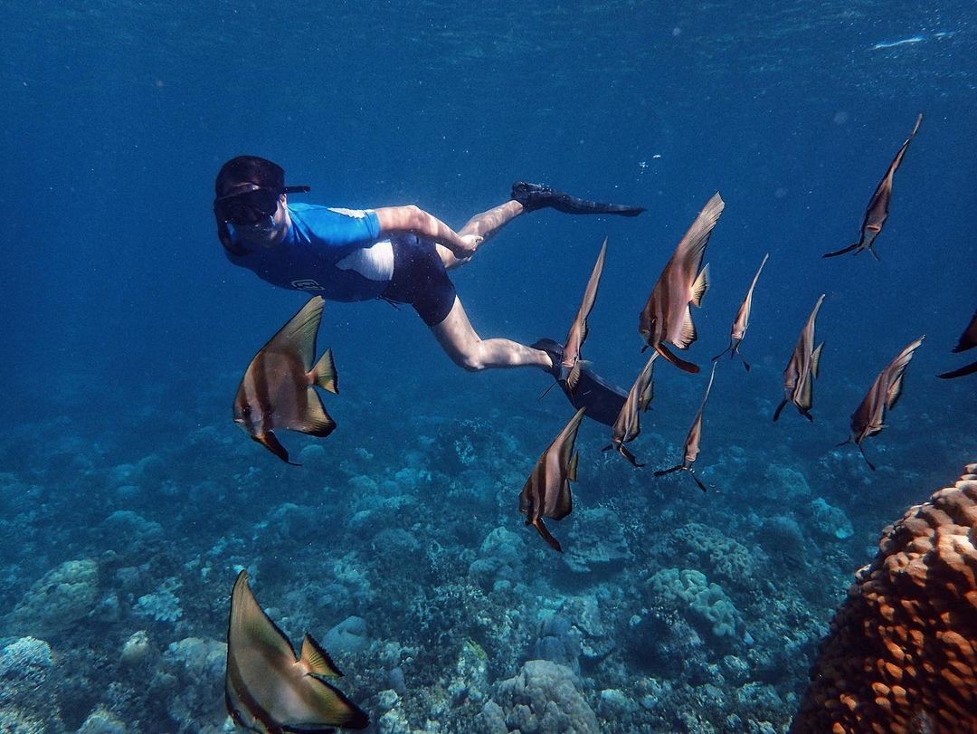 white sand beaches in the philippines - danjugan snorkelling