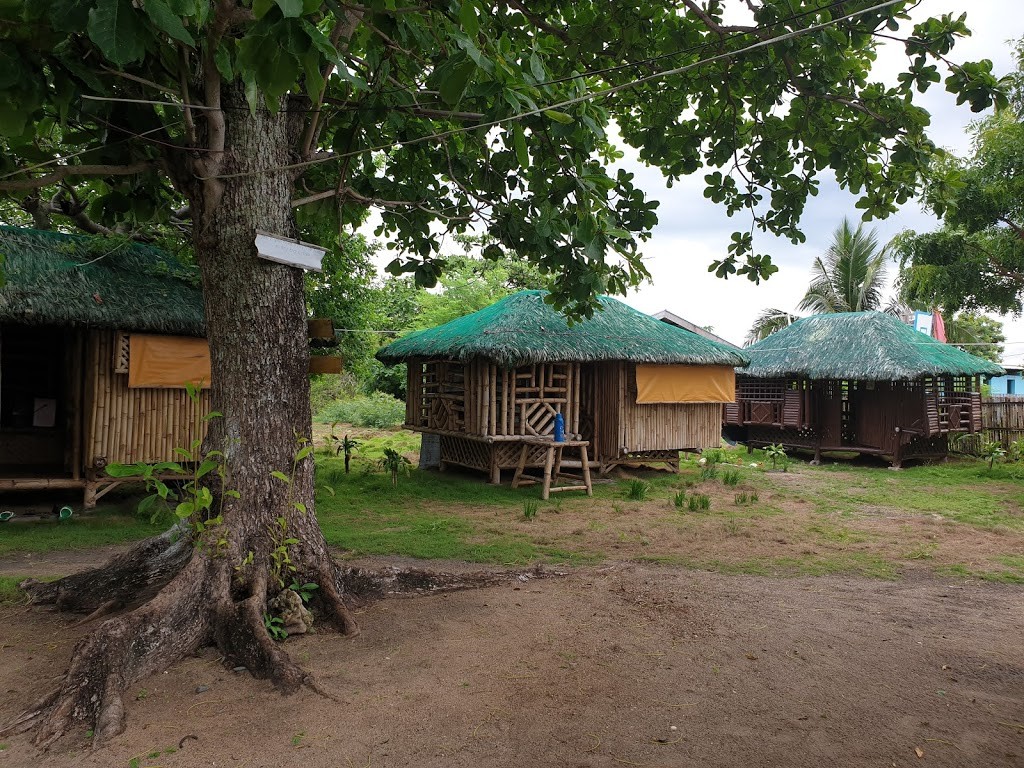 white sand beaches in the philippines - sandbar island beach resort