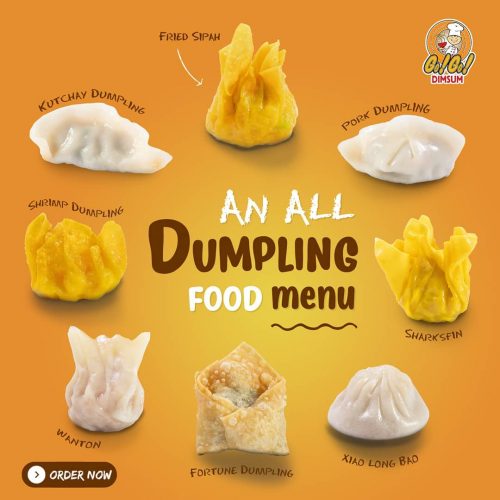 Go! Go! Dimsum Delivers Ready-To-Cook Chinese Food