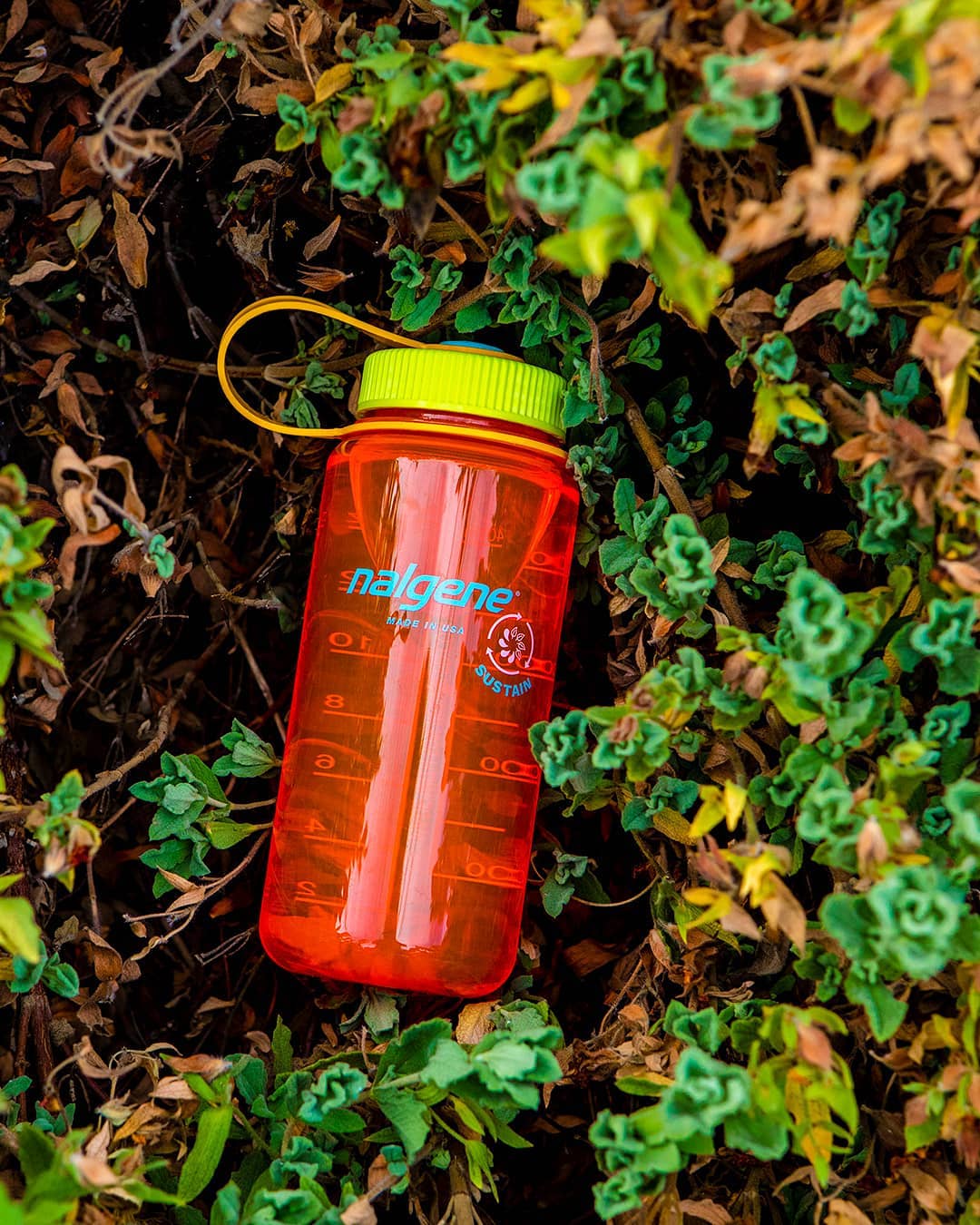 Water Bottle - Nalgene