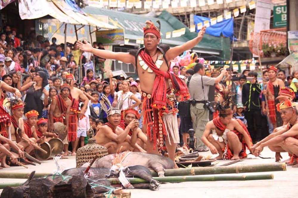 imbayah festival - pig sacrifice