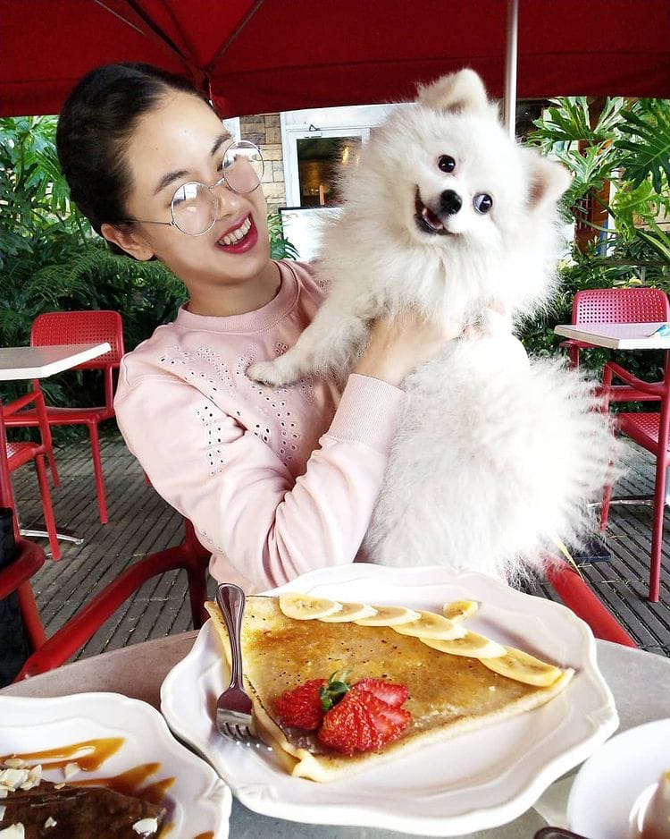 kisses delavin - dog