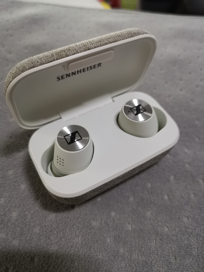 Wireless earphones - Sennheiser Momentum True Wireless 2