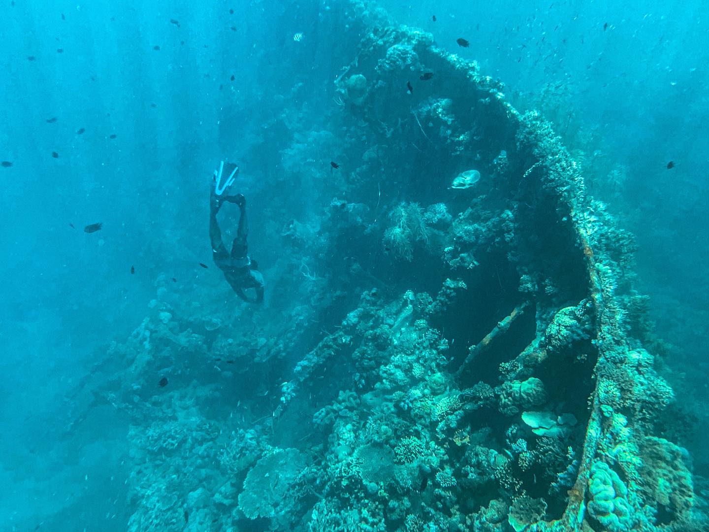 Philippine diving sites - Coron Bay