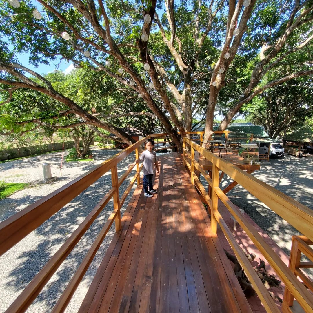 built wooden bridge