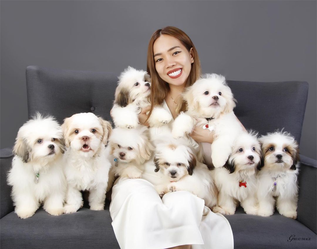 4th Impact - dogs
