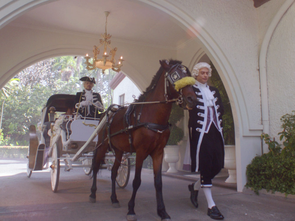 taking a ride in a carriage