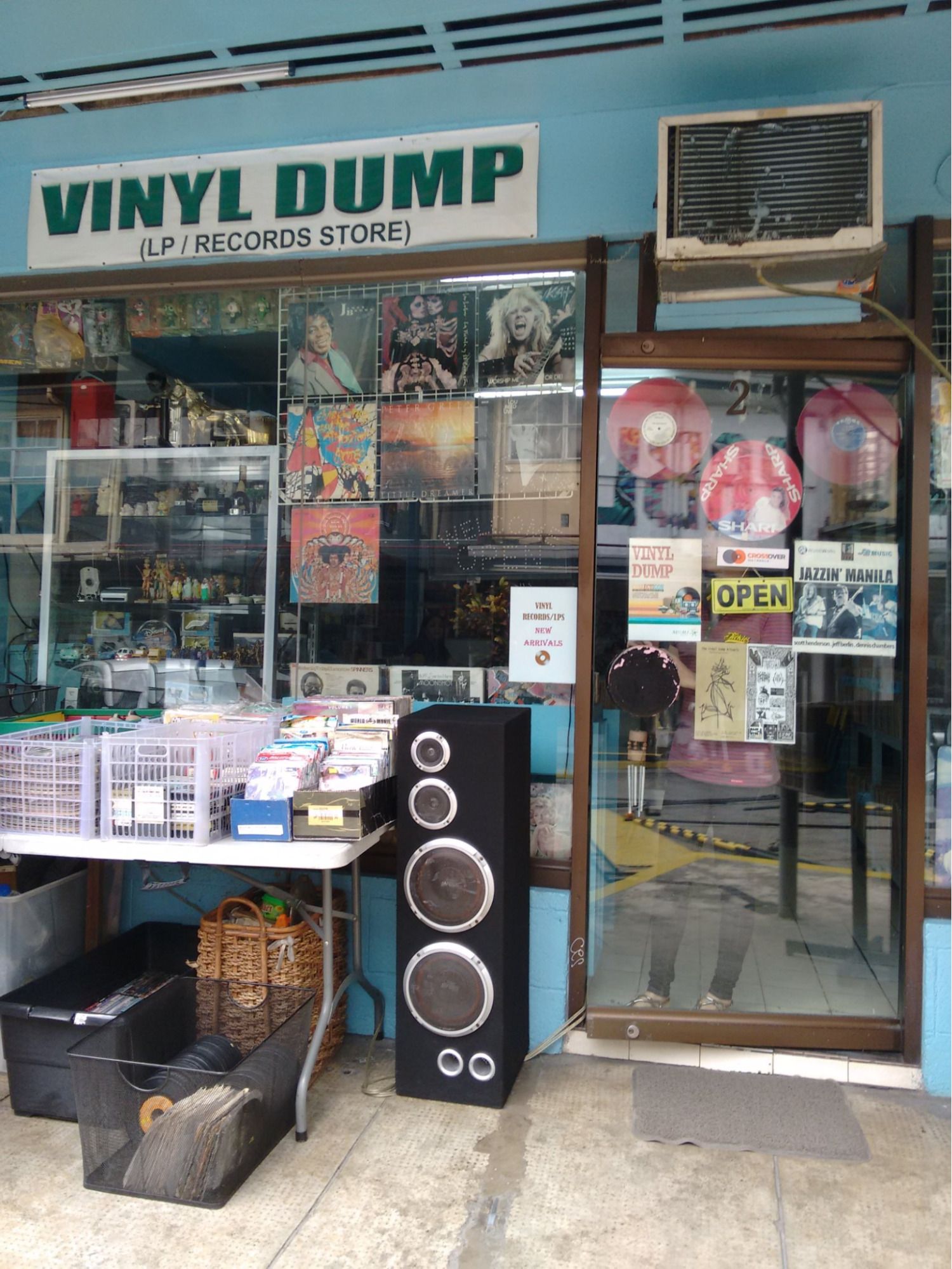 vinyl dump thrift store