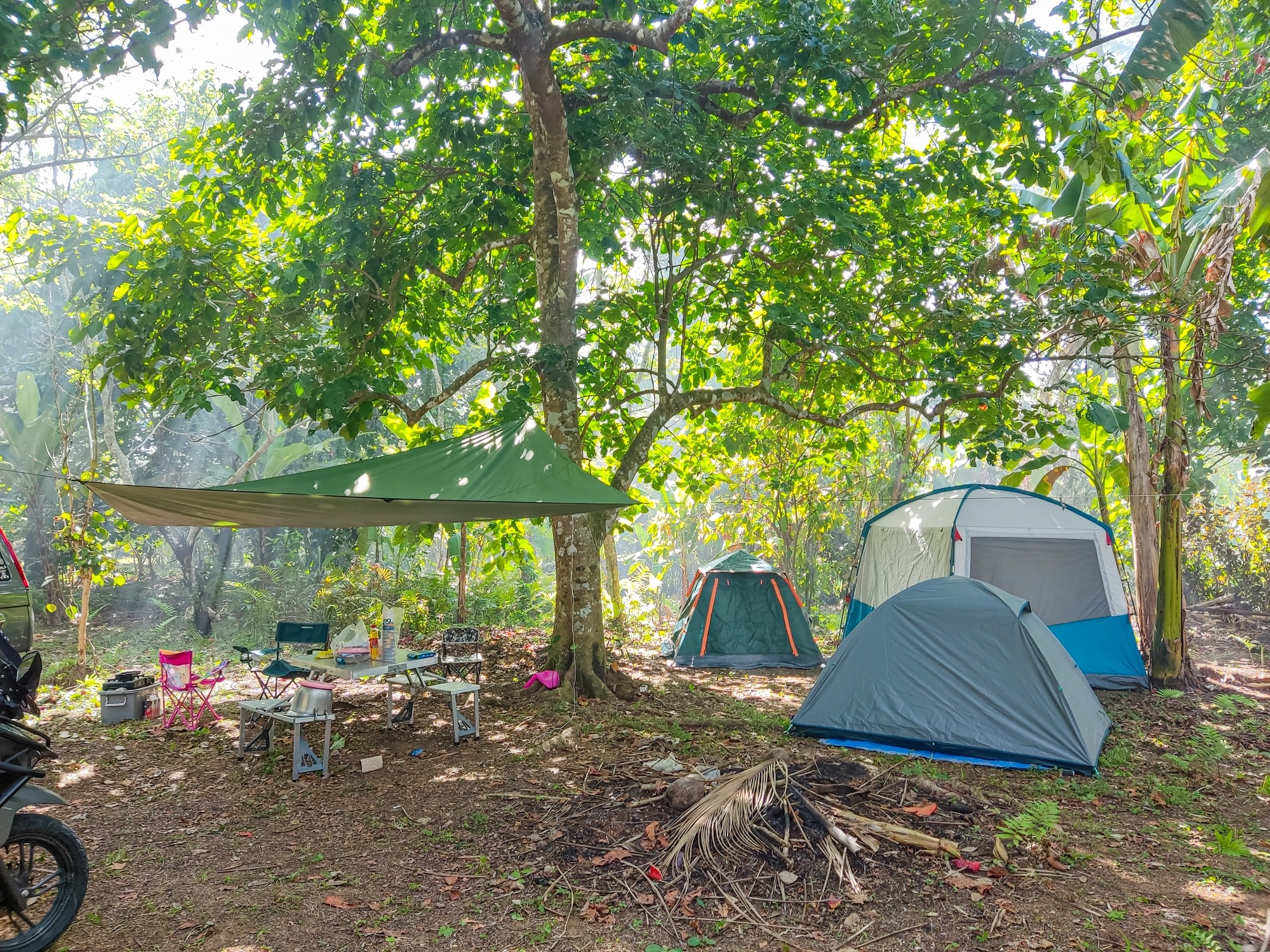 Forest camping