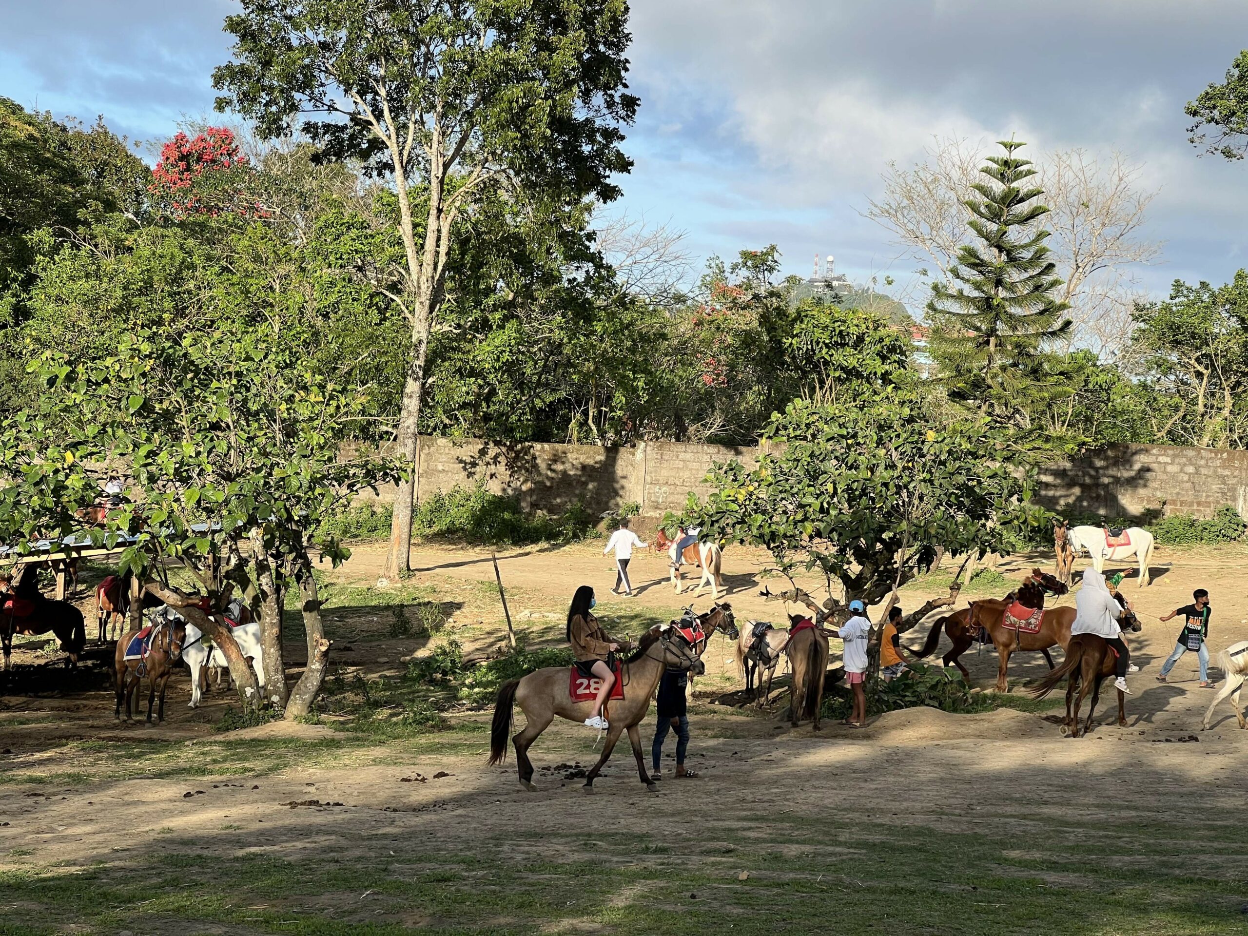 Tagaytay Picnic Grove - horseback riding