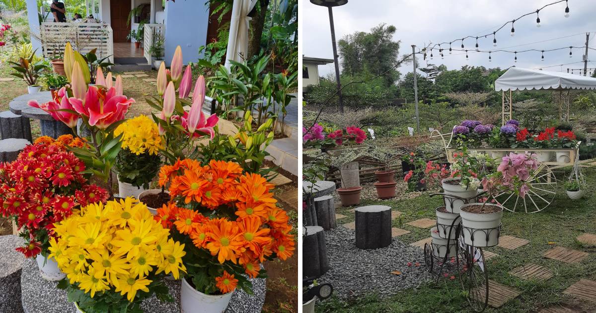 Hidden Charm Cafe in Silang, Cavite - wholesale flowers