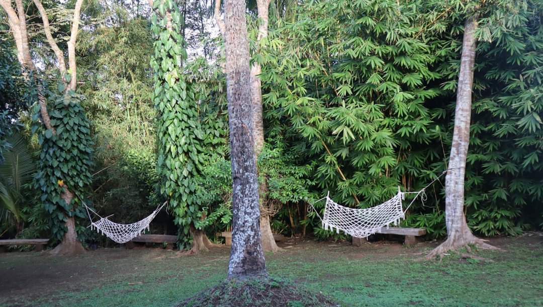 The Weekend Farmer in Cavite - hammocks