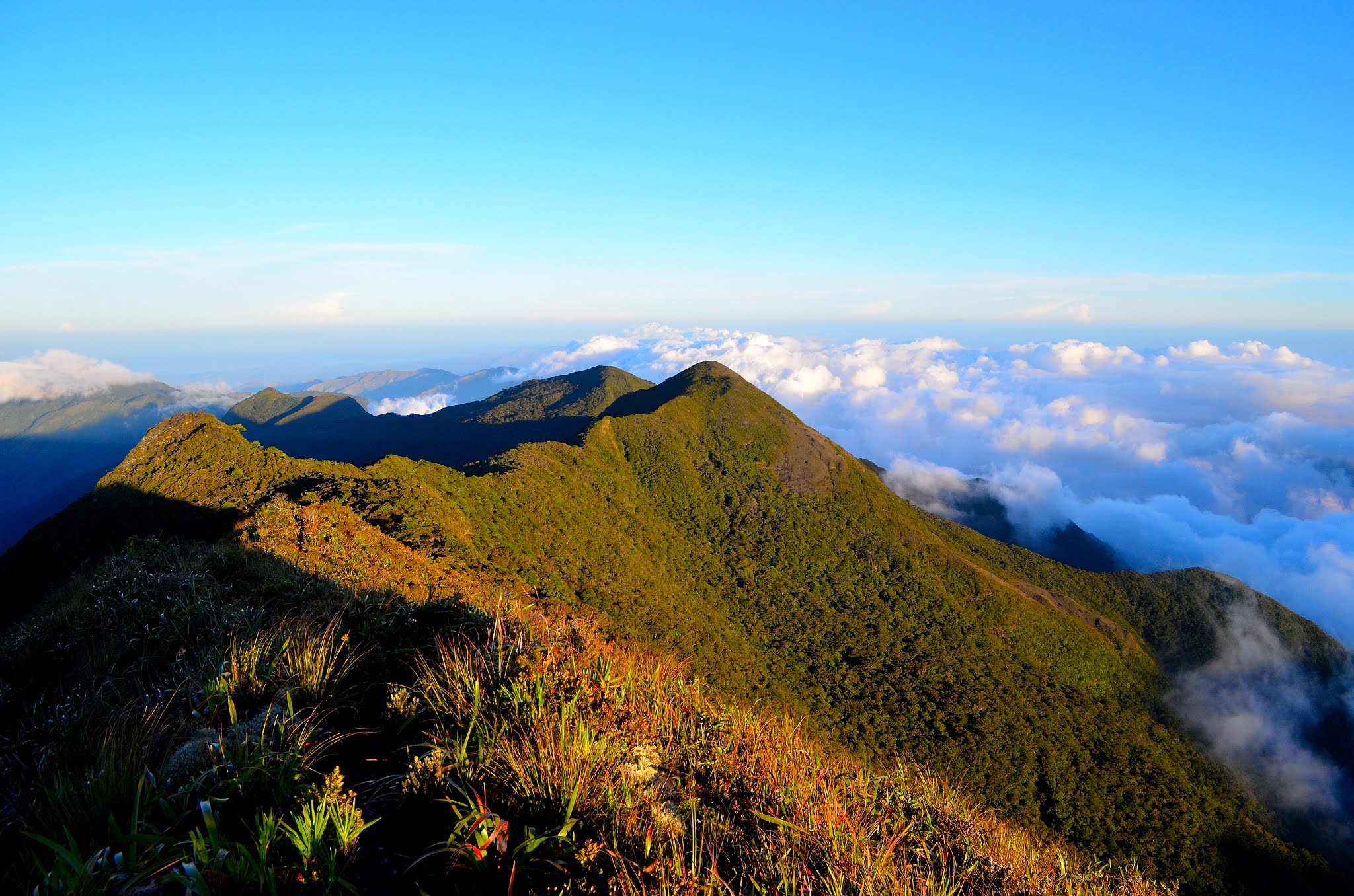 Things to do in Oriental Mindoro - go on a hike - Mt. Halcon