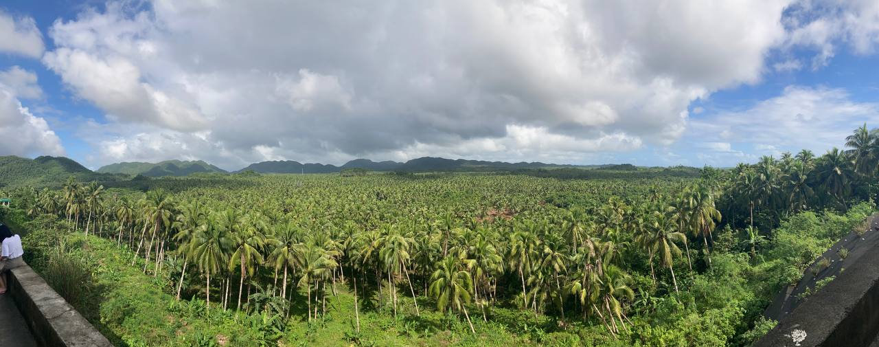 Siargao Coconut view deck