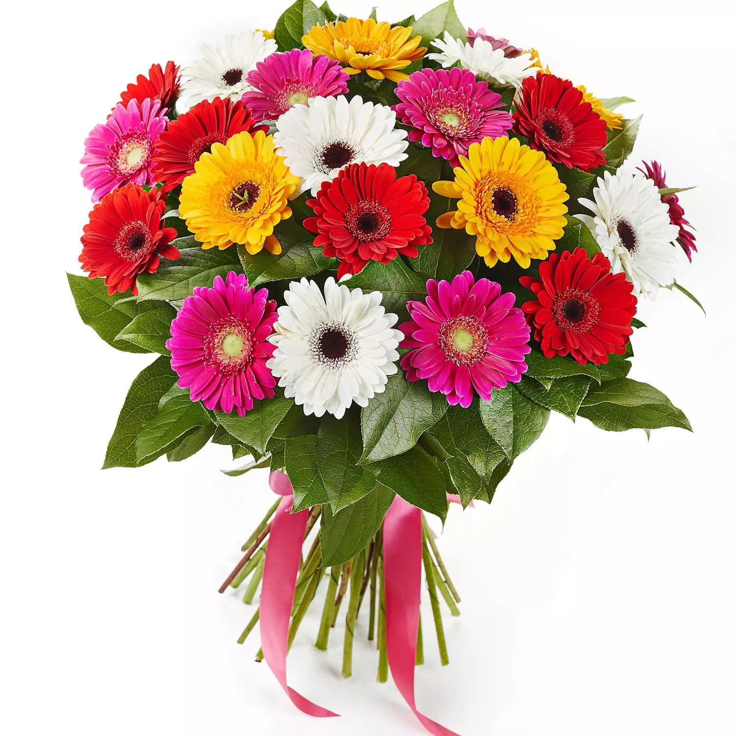 summery-6-gerbera-blooming-bouquet