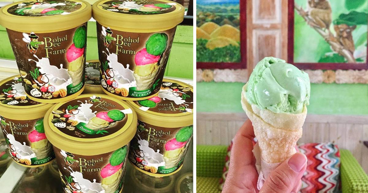 Bohol Bee Farm - ice cream