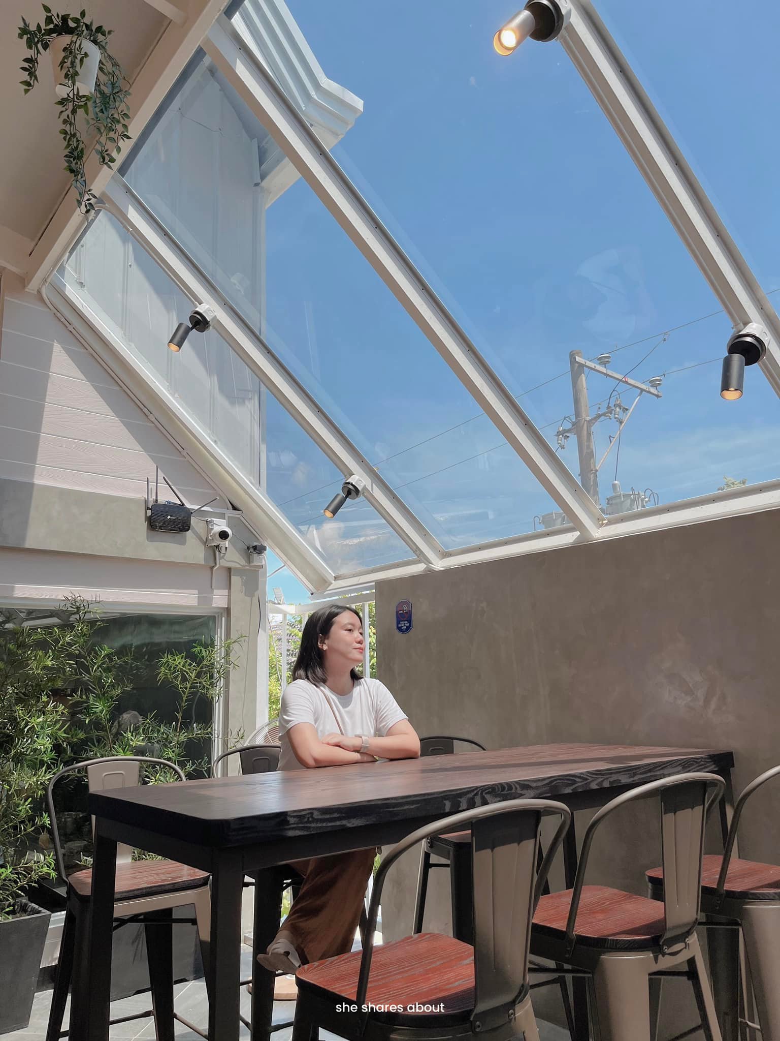 Hillbarn Cafe and Restaurant - glass ceiling