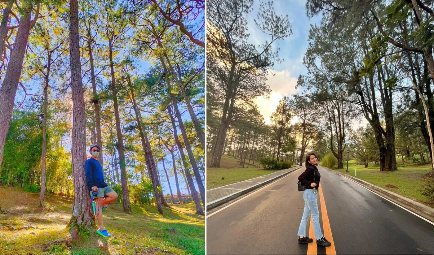 baguio photo spots - camp john hay pines