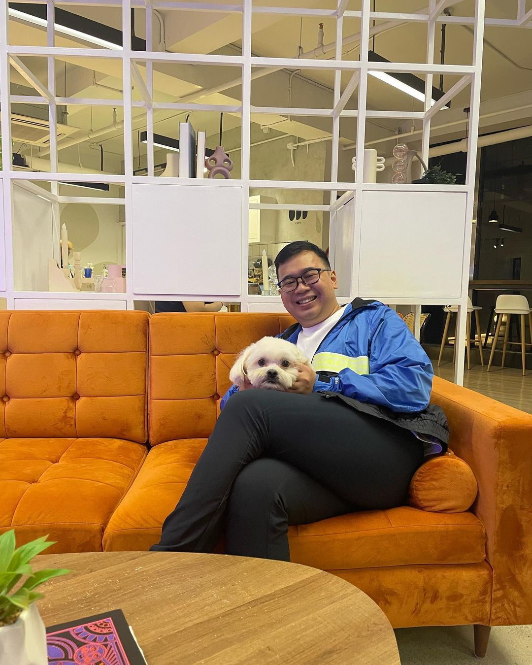 Pet-Friendly Cafes In Metro Manila - Odd Cafe - hoomans and pets
