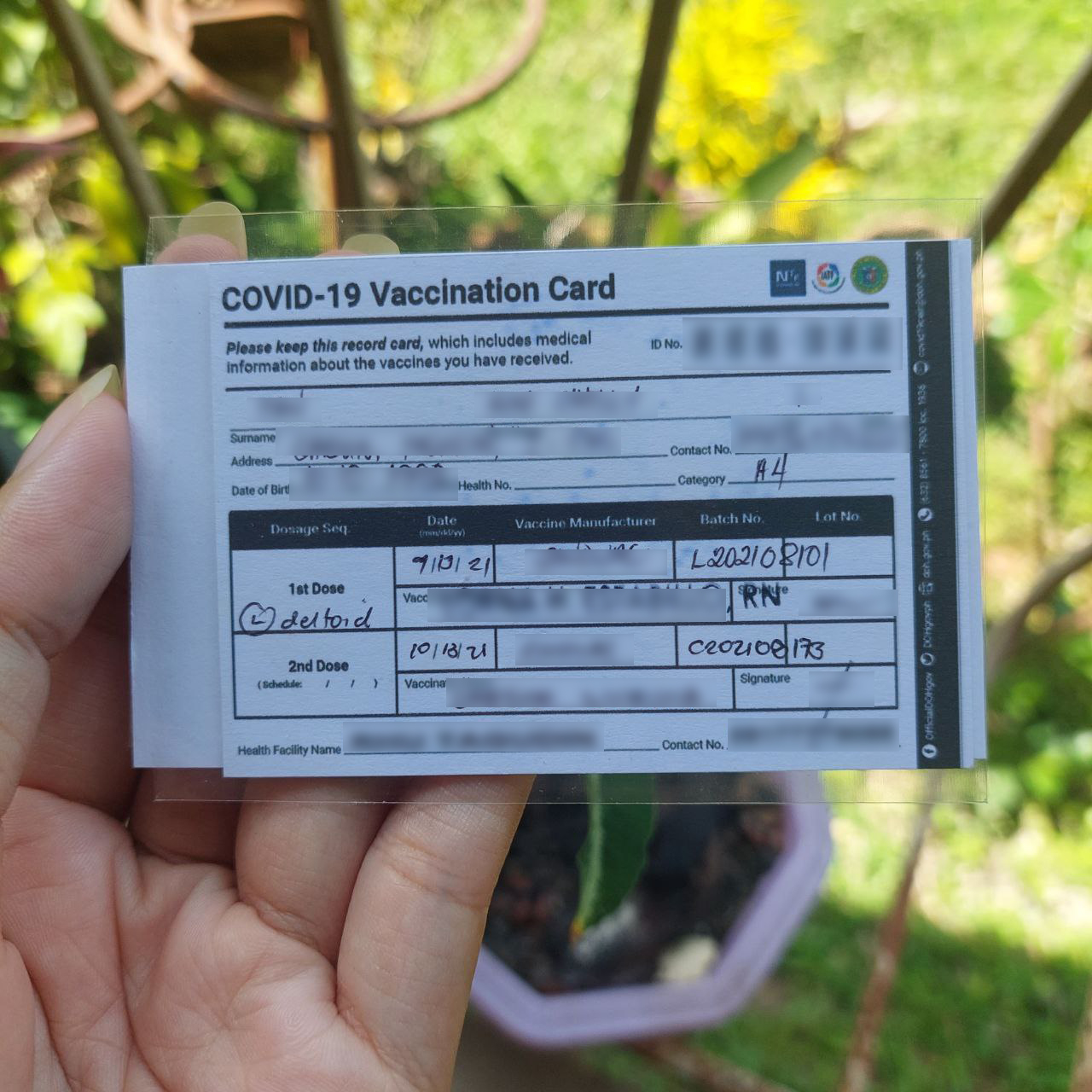 philippine vaccine card