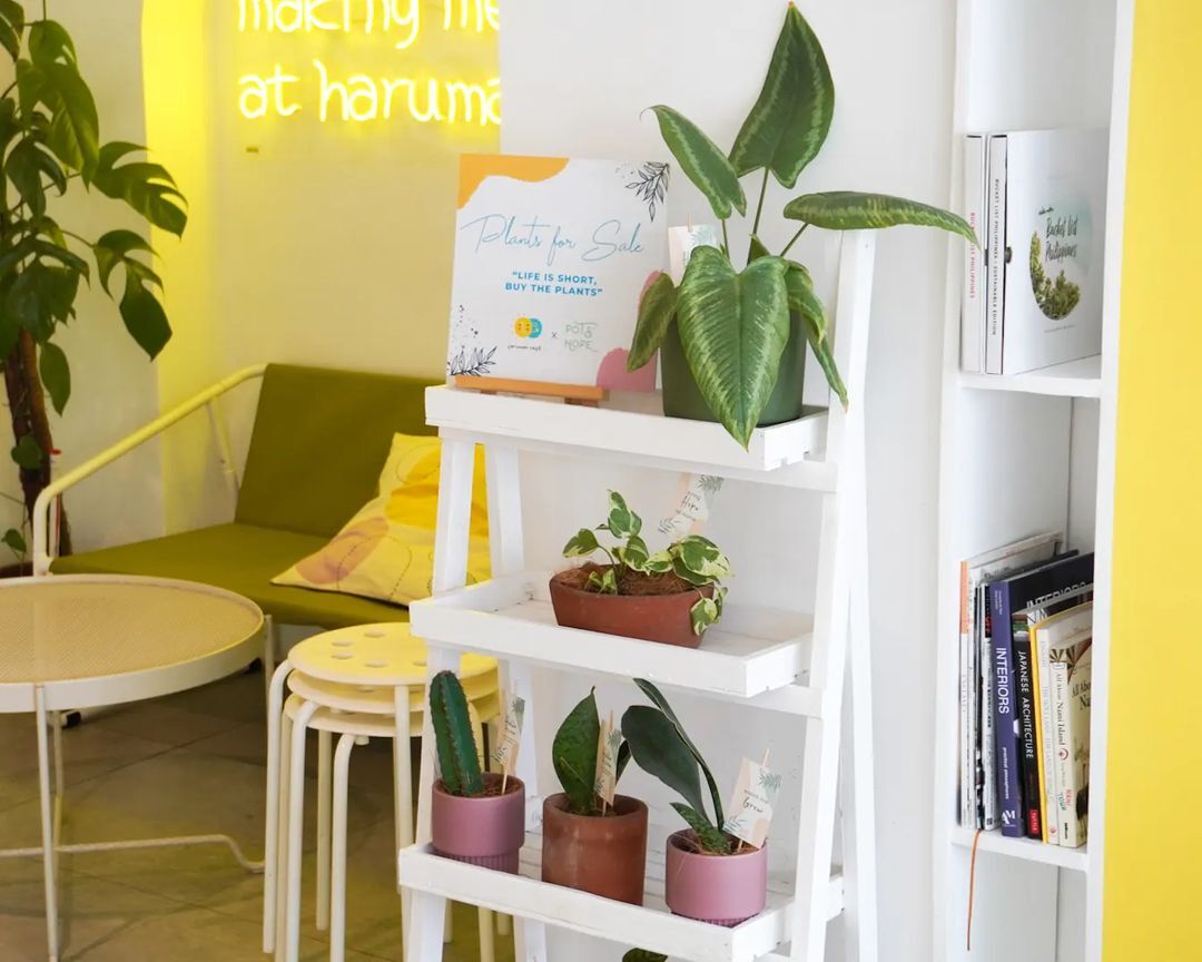 Haruman Cafe plants and books