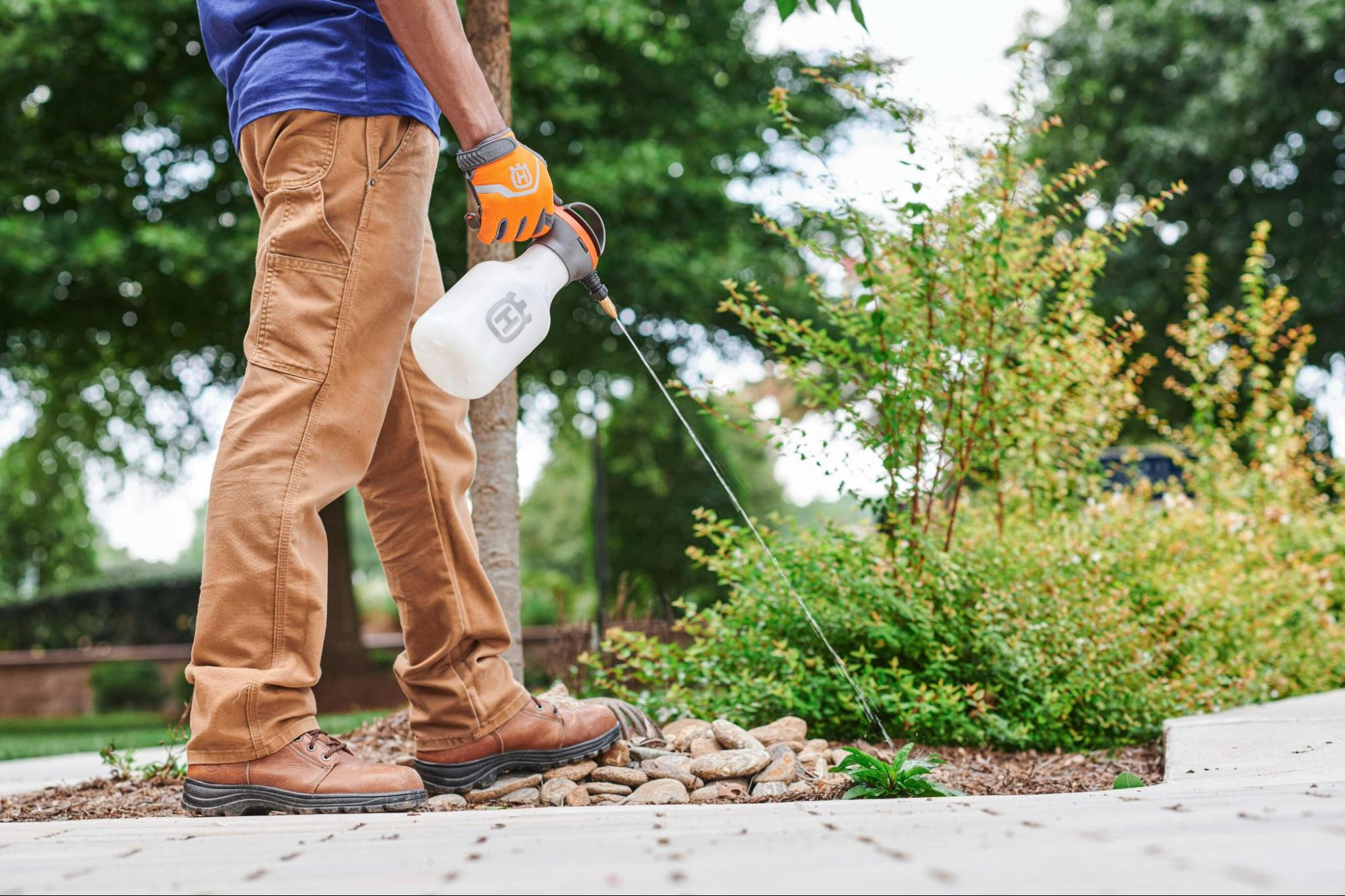 Garden Care Tips - Garden Sprayer