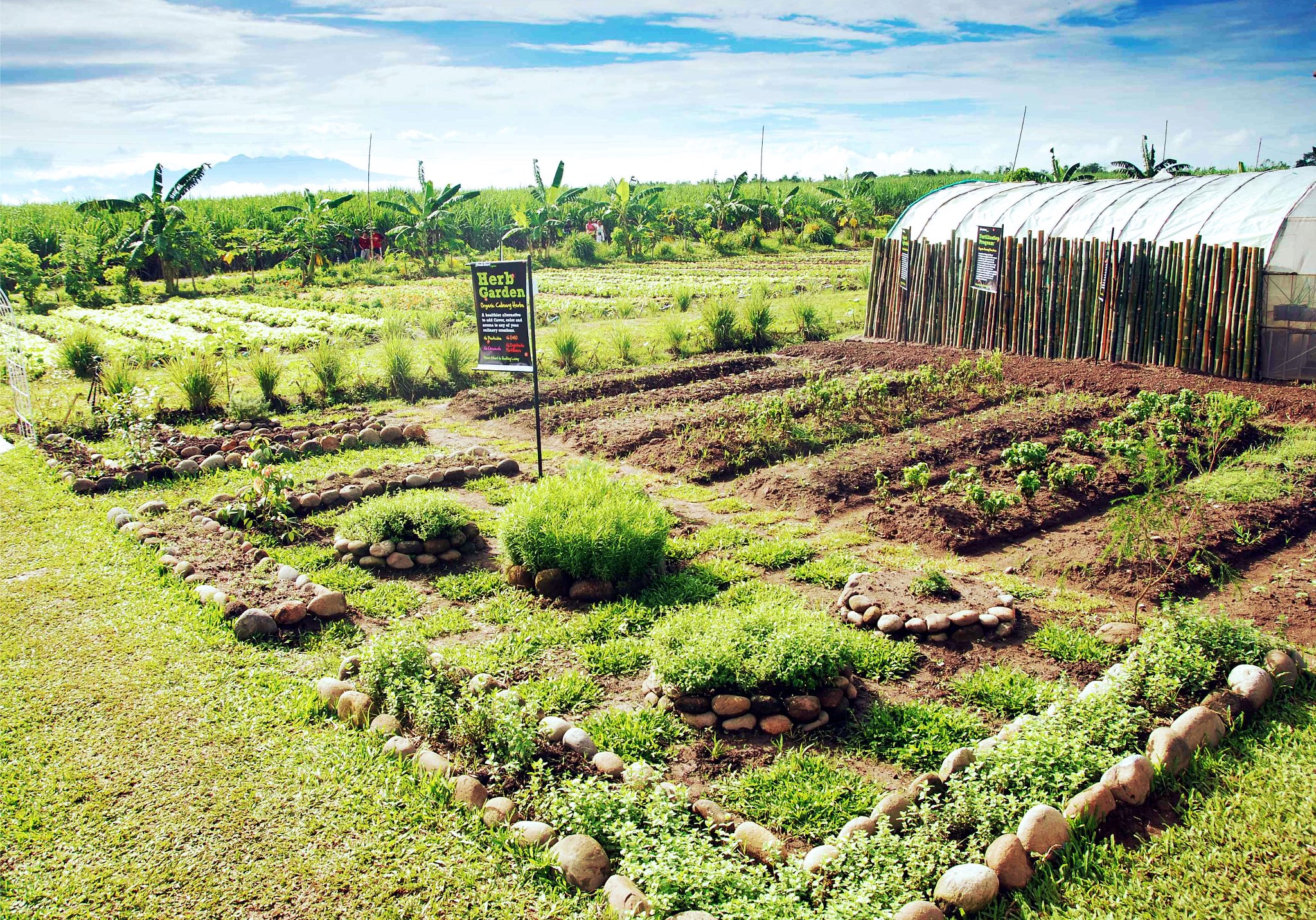 Fresh start organic farm exterior