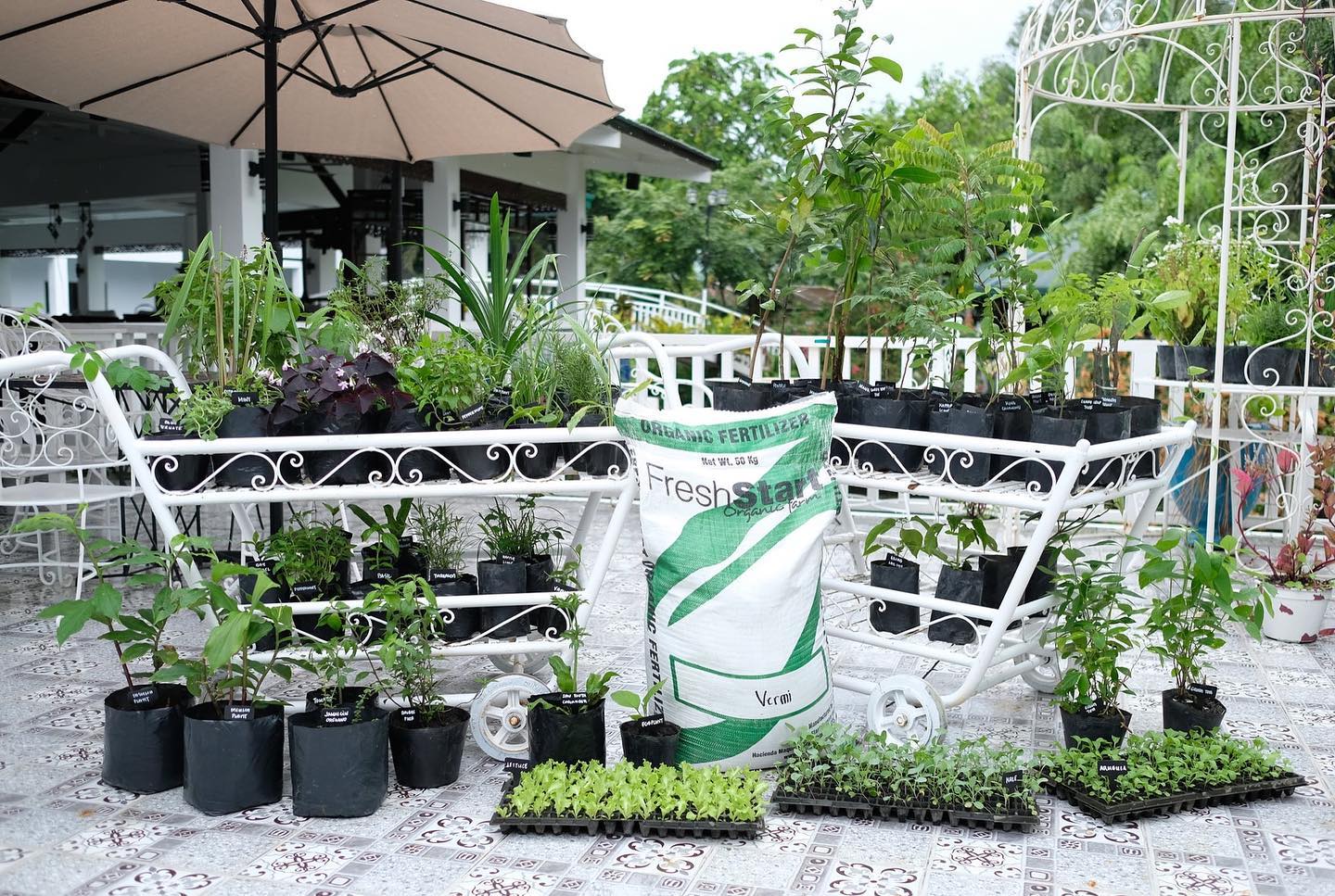 Fresh Start Organic Farm in Bacolod
